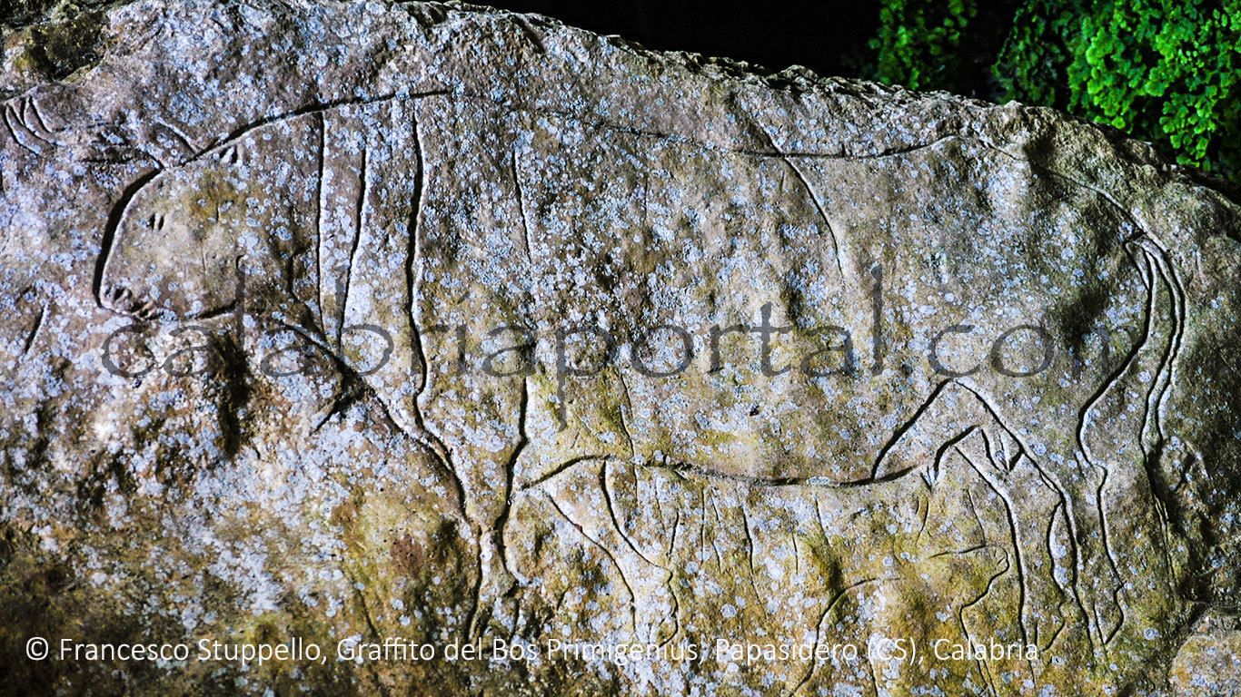 A rock with prehistoric animal carvings.