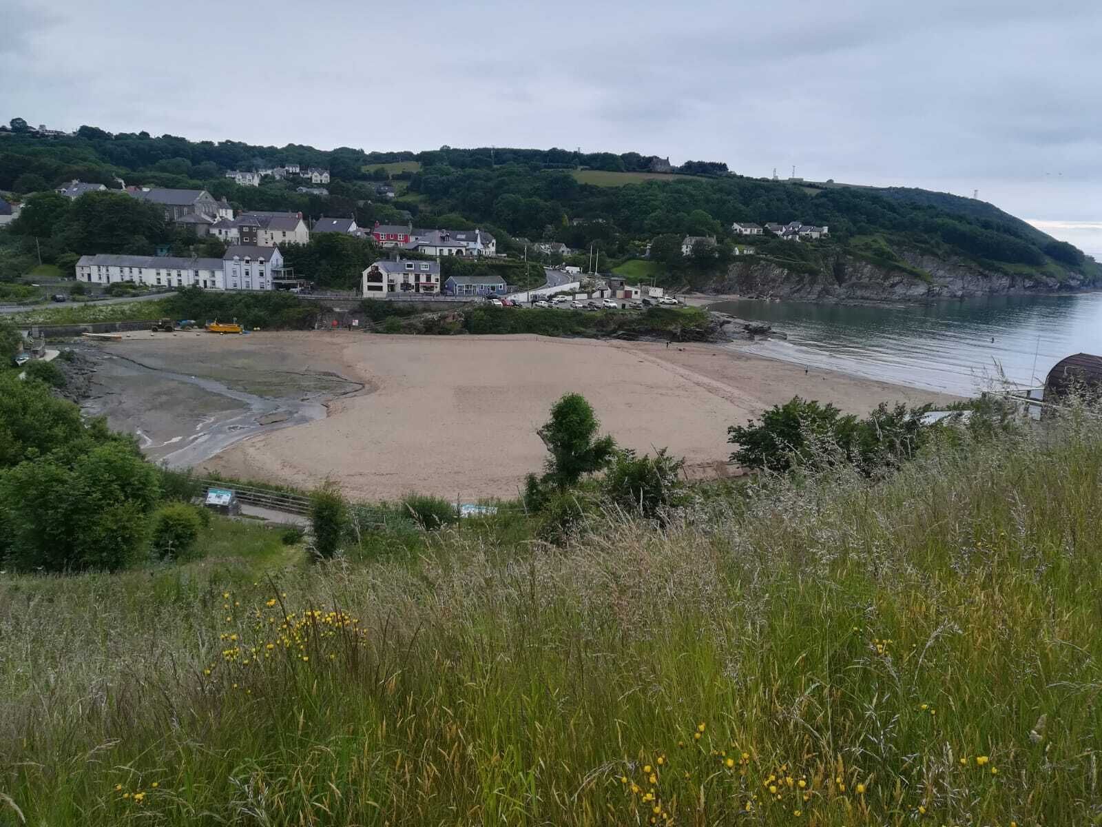 Un pueblo costero con una playa arenosa, casas y una colina con vegetación.