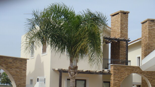 A two-story building with a stone facade, a balcony with a metal railing, and a palm tree in the foreground. - Jolie Villa (Sotira)