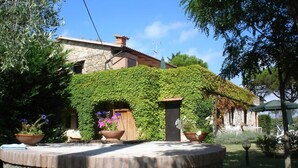 A stone building with a stone facade and a green vine-covered roof. - Borgo Valmarina (Follonica)