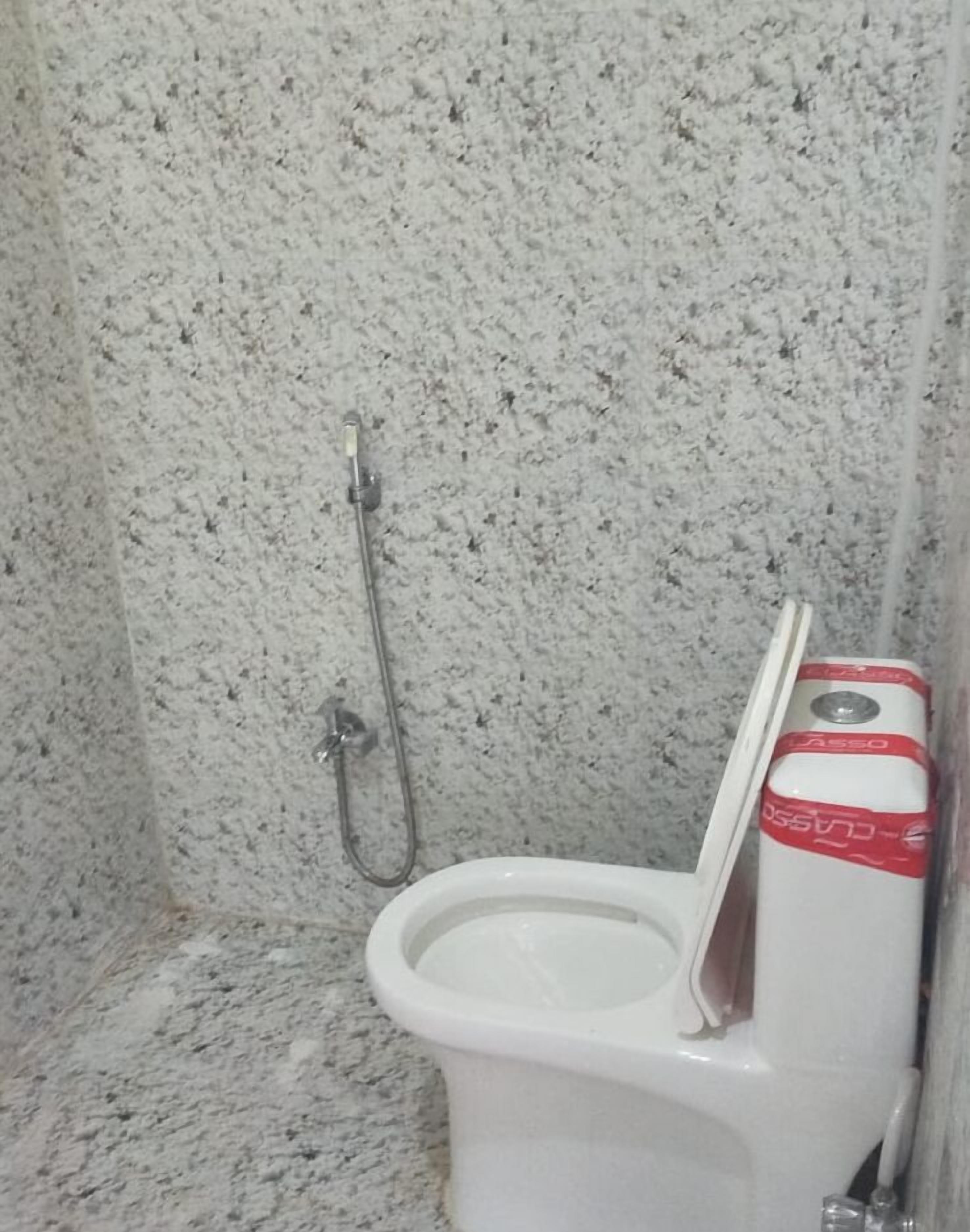 Casa de banho com sanita branca, chuveiro com chuveiro de mão e parede com padrão marmorizado.