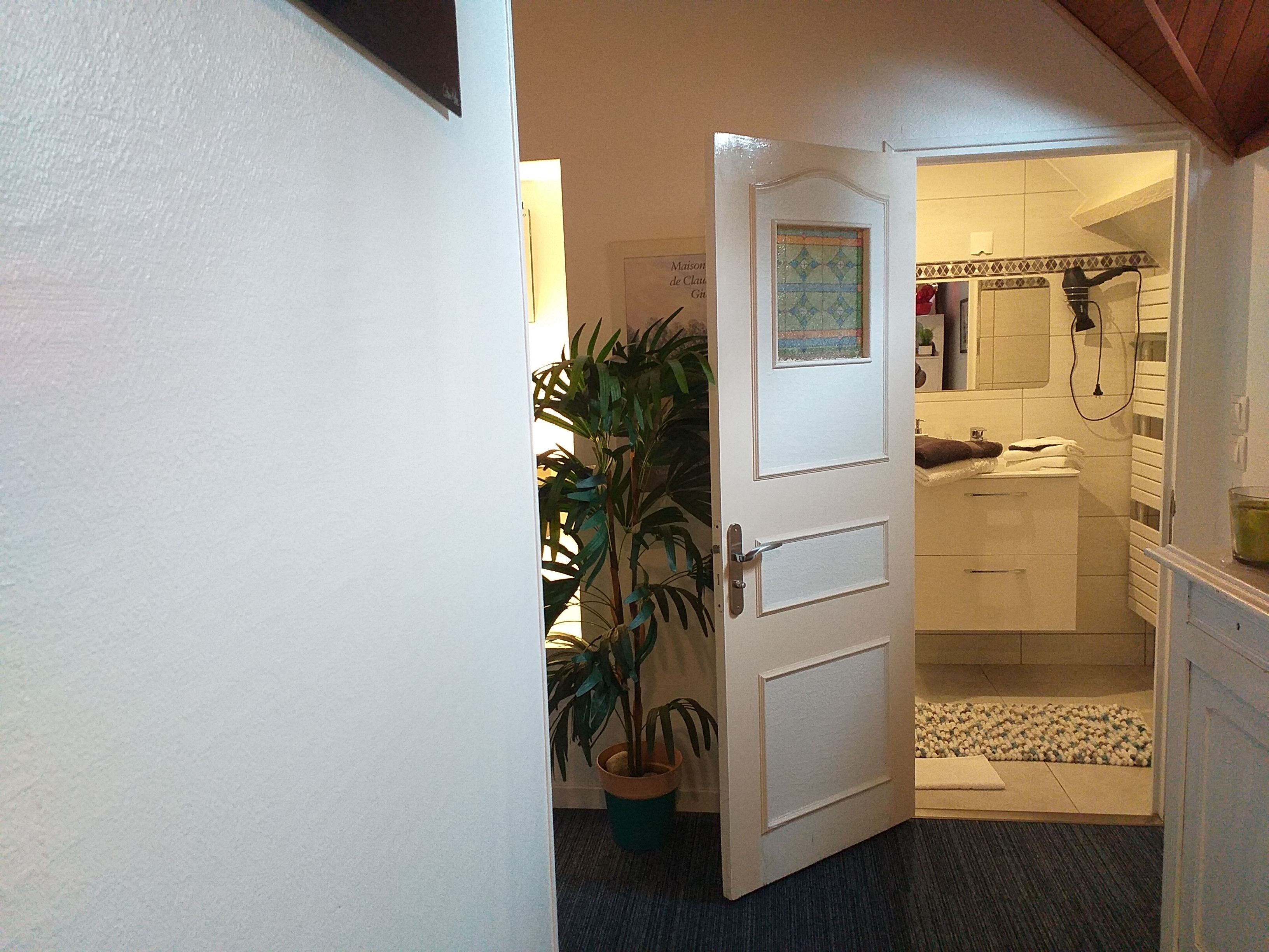 Kylpyhuoneessa on suihku, pesuallas ja wc. Oven vieressä on ruukussa oleva kasvi.
