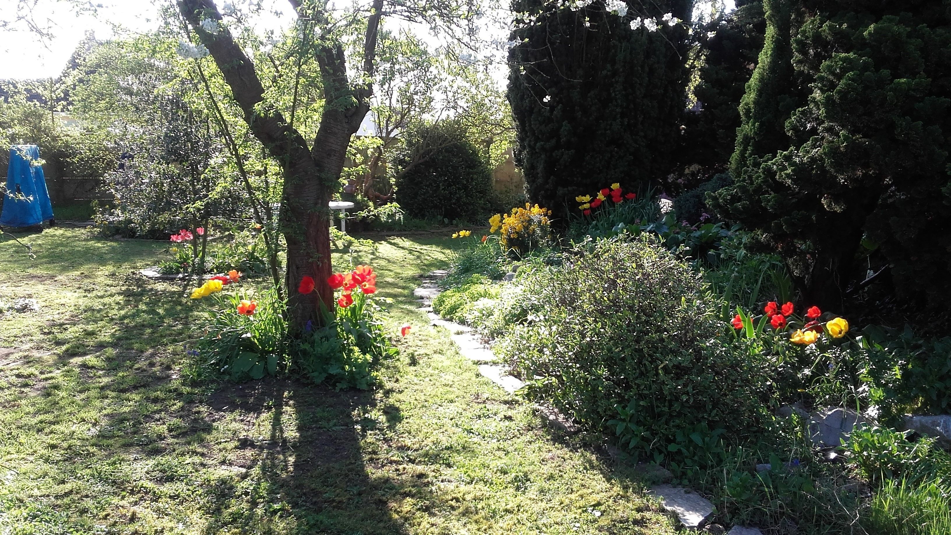 Um jardim com caminho de pedra, diversas plantas floridas e árvores.