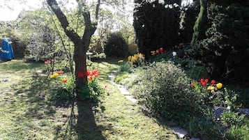 Um jardim com caminho de pedra, diversas plantas floridas e árvores.