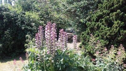 Chambre du Jardin Fleuri