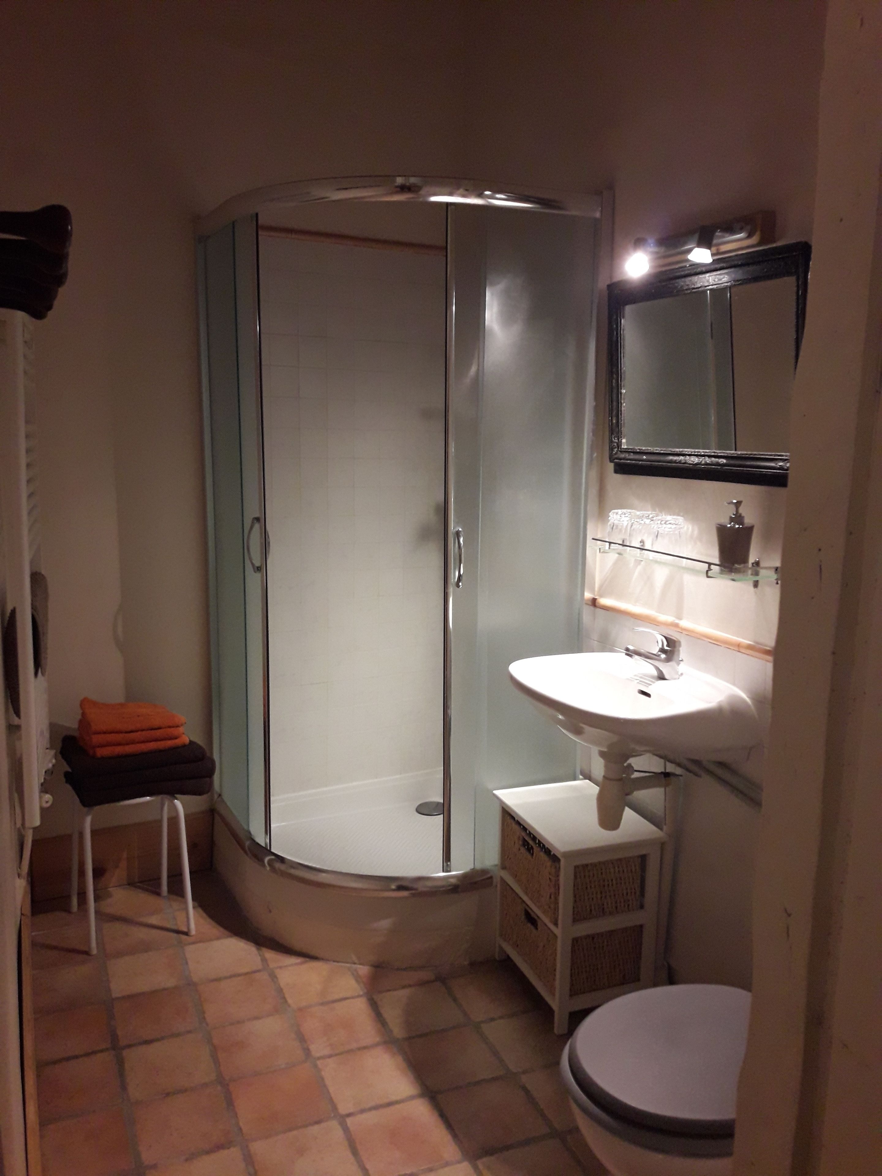 A bathroom with a glass-enclosed shower, a white sink, and a toilet.