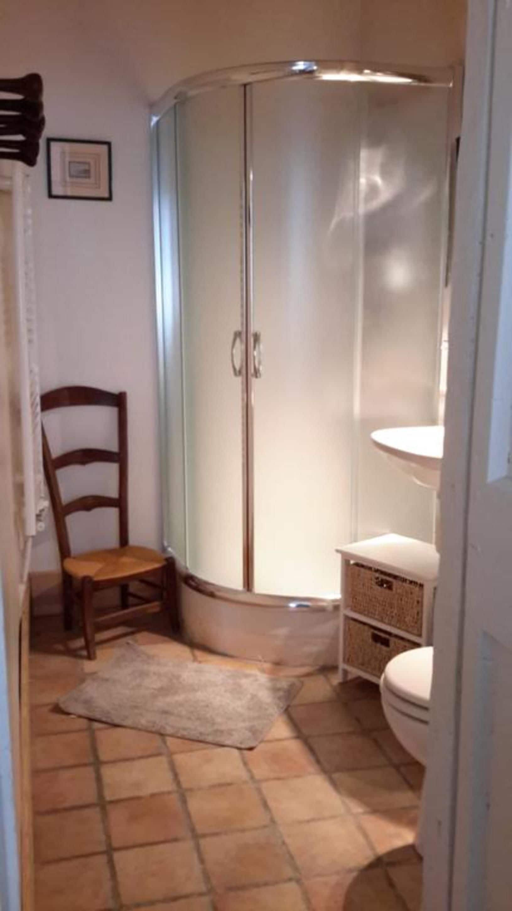 Un bagno con doccia, un water, una sedia e un tappeto.