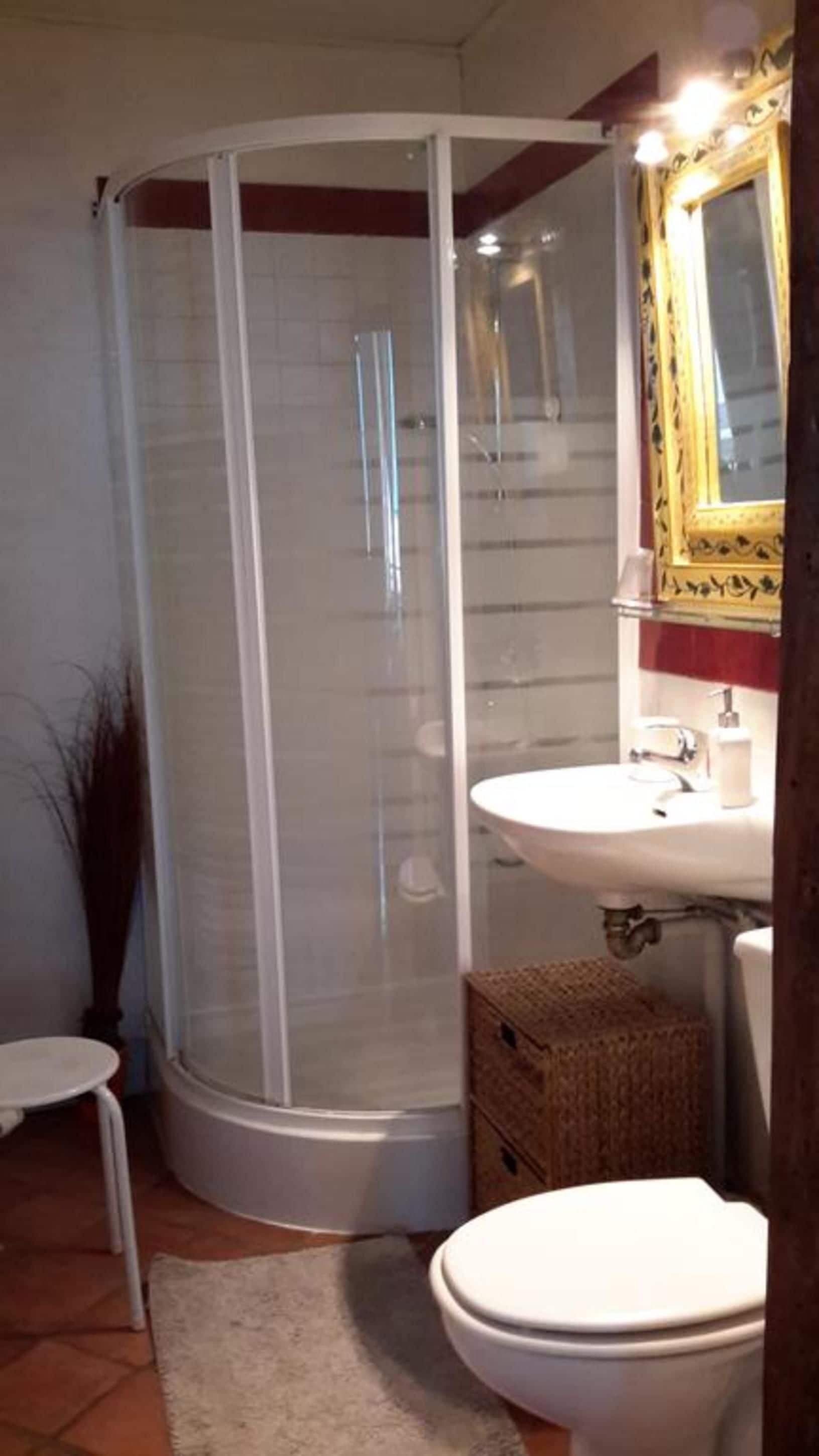 A bathroom with a glass-enclosed shower, a sink with a mirror, and a toilet.