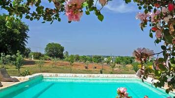 Een seizoensgebonden buitenzwembad, ligstoelen bij het zwembad