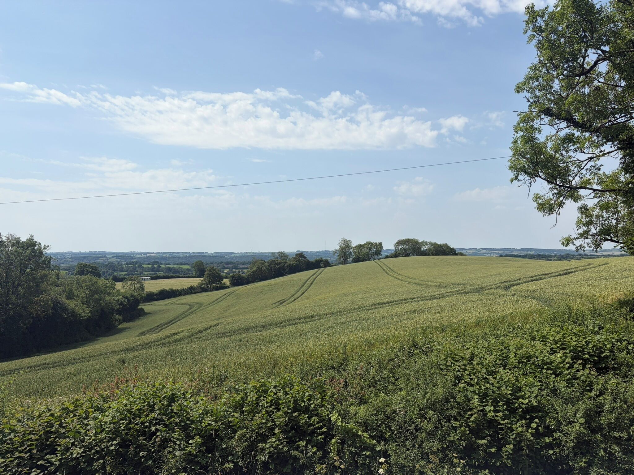 A rural landscape with rolling hills, a clear sky, and distant trees.