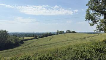 A rural landscape with rolling hills, a clear sky, and distant trees.