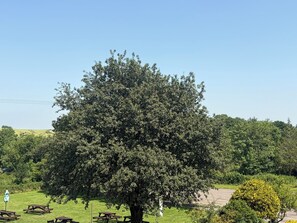 A large tree in a park with picnic tables. - Hunters Rest Inn (Bristol)