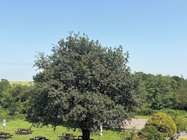 Classic Double Room with Balcony (Room 2) | Balkoni