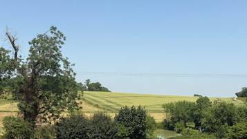 A rural landscape with a clear sky, a field, and a playground with swings and a slide.
