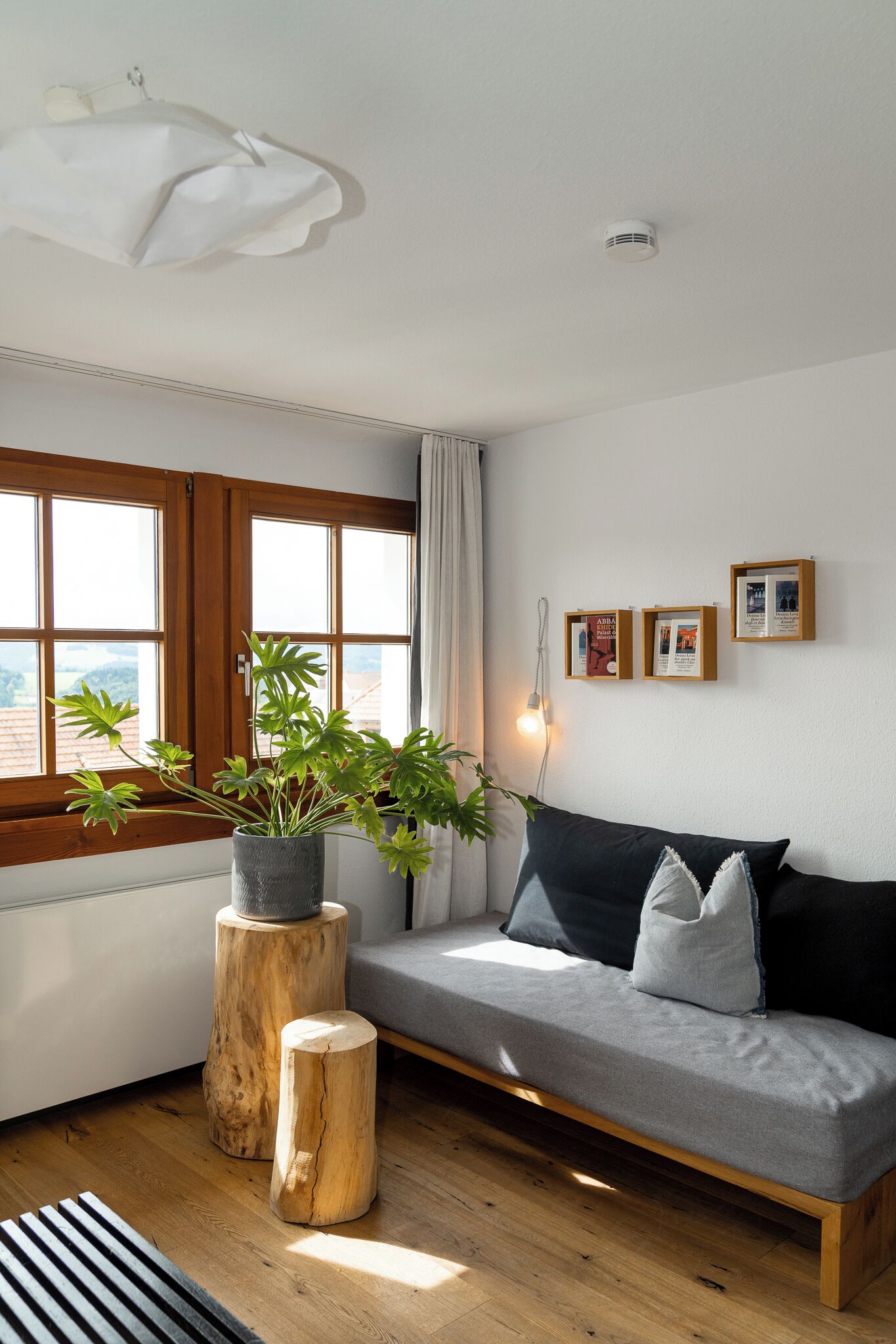 Una sala de estar moderna con suelo de madera, un sofá gris, una planta en maceta y una ventana con cortinas.