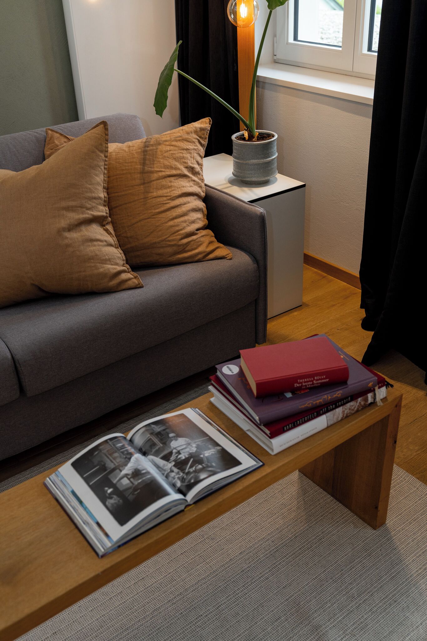 A living room with a grey sofa, brown cushions, a small side table with a potted plant, and a coffee table with books and magazines.