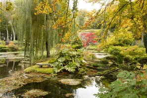 Un jardín tranquilo con un estanque, abundante follaje y una edificación tradicional de estilo japonés al fondo.