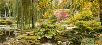 Le Domaine de Courances