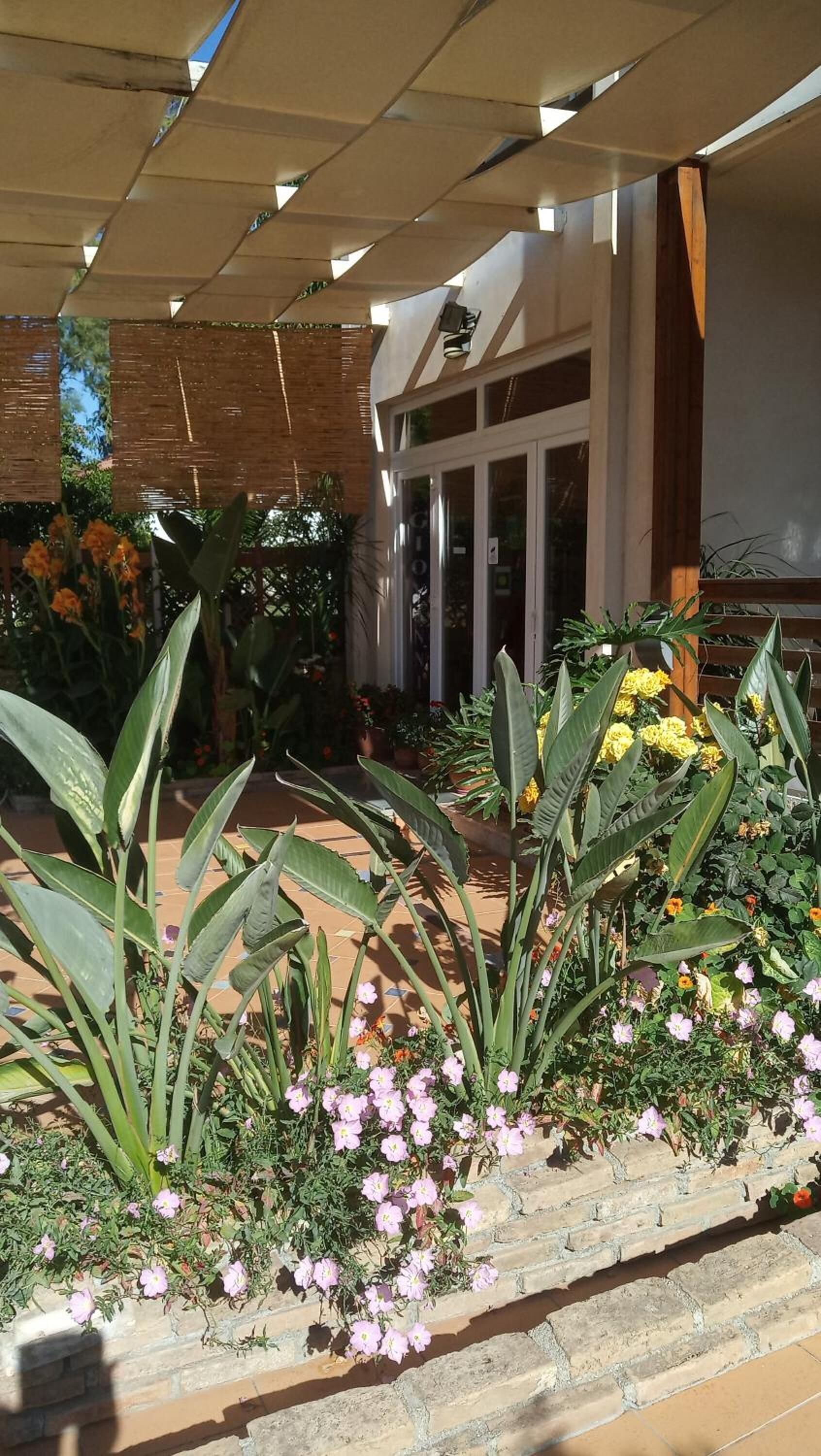 A covered outdoor area with a variety of plants and flowers, a building entrance, and a pergola structure.
