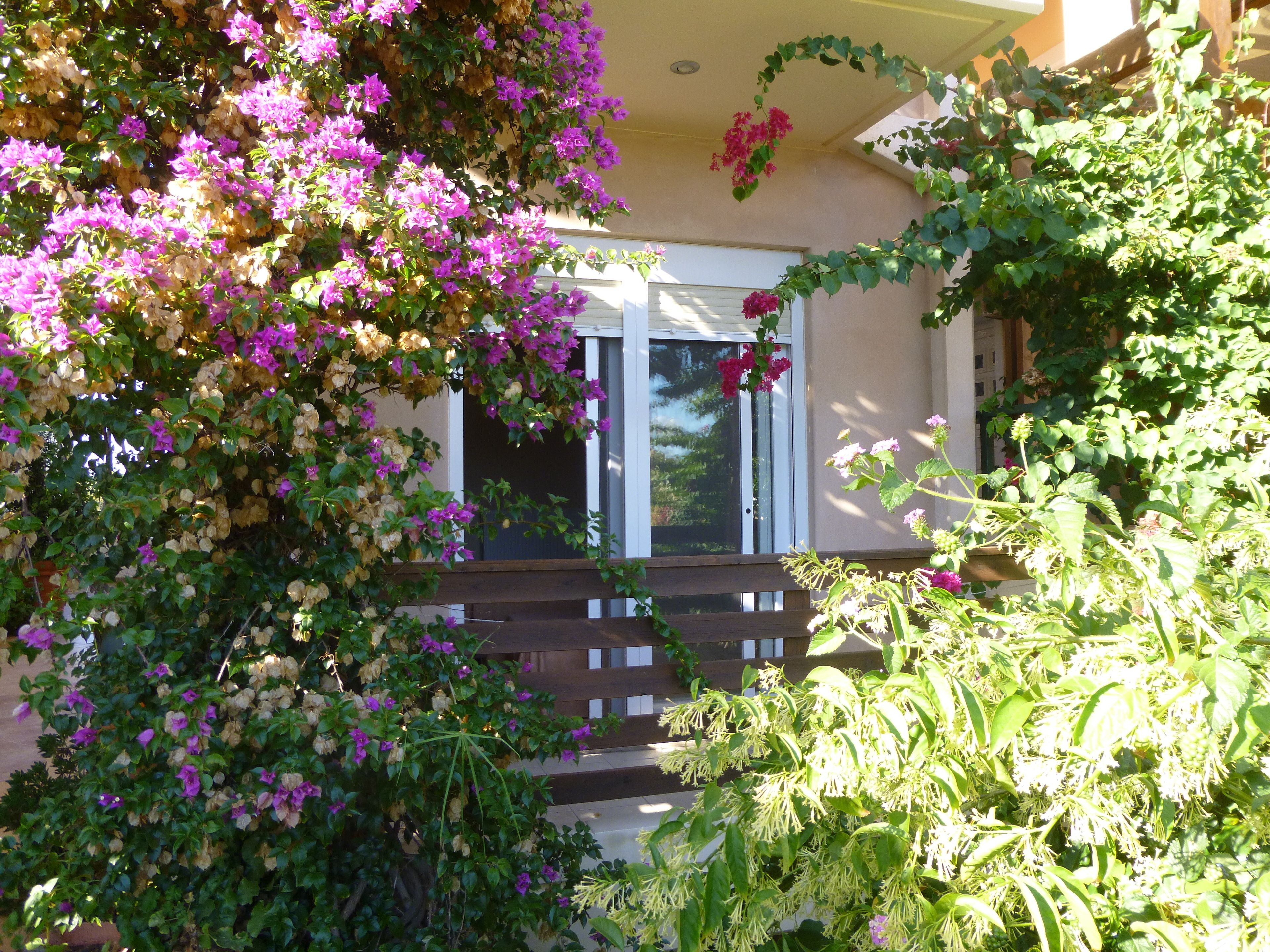 A residential building with a balcony, surrounded by lush greenery and flowering plants.
