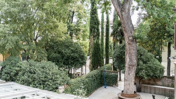 A courtyard with a variety of trees and shrubs, a white pergola, and a statue.