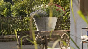 Carrinho com uma panela de metal grande cheia de flores, posicionado sobre uma superfície pavimentada, com vegetação ao fundo.