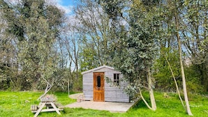 A small wooden cabin with a single door and window, surrounded by lush greenery and trees. - Baby Moon (Guisborough)