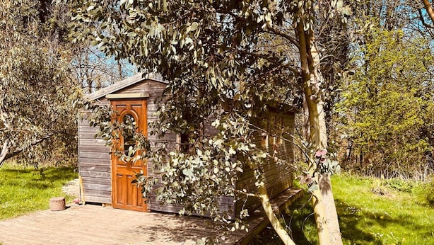 A small wooden cabin with a door and a porch, surrounded by trees and grass. - Baby Moon (Guisborough)