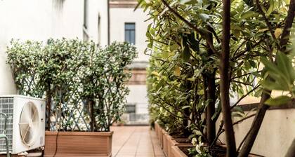 Accademia Terrazza