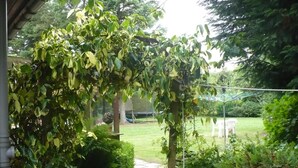 A garden pathway leading to a grassy area with a pergola covered in climbing plants. - Hosefield Bed and Breakfast (Ellon)