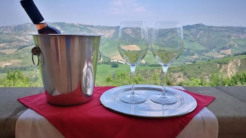 Appartement, 1 chambre, terrasse | Vue de la chambre