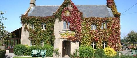 A house with ivy-covered walls and a stone chimney.