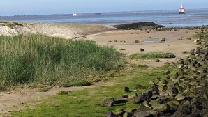 Nær stranden