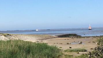Tæt på stranden