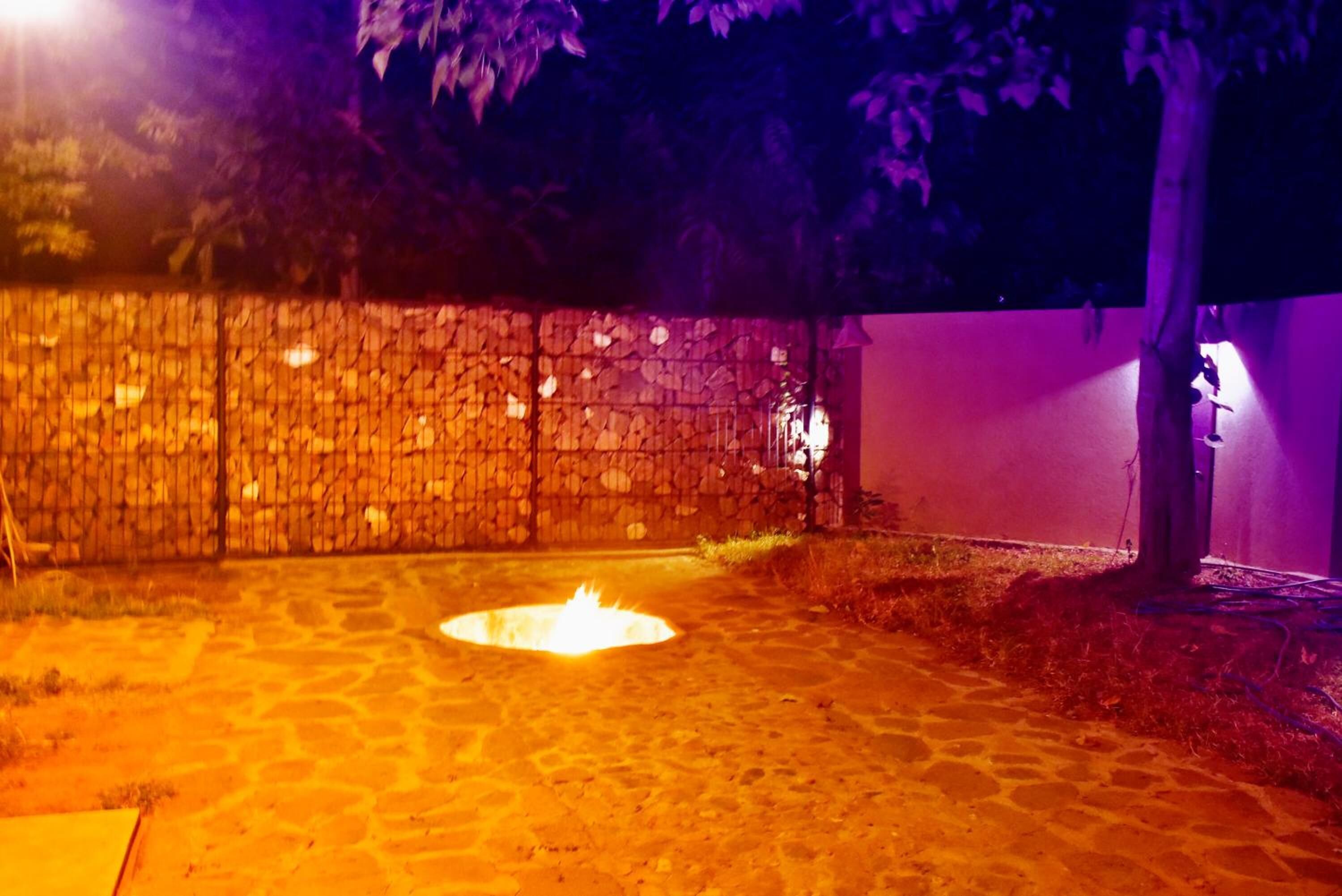 A stone wall with a fire pit in the center, surrounded by a stone floor and some greenery.