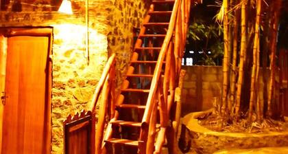 Lizard Safari Lodge
