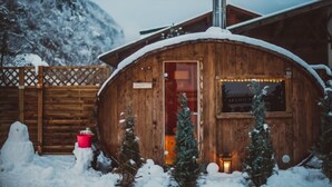 A wooden cabin with a chimney, surrounded by snow and small Christmas trees. - Alpenhaus Monte (Neustift Im Stubaital)