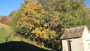 A stone building with a tiled roof, surrounded by trees with autumn foliage. - Agriturismo Fattoria Ortoalpino (Borgo Valbelluna)