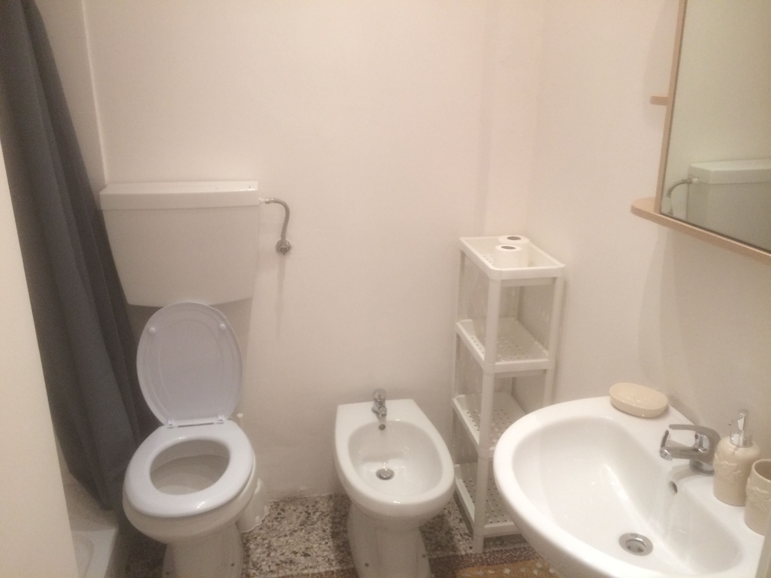 Un bagno piccolo con servizi igienici, bidet e lavabo.