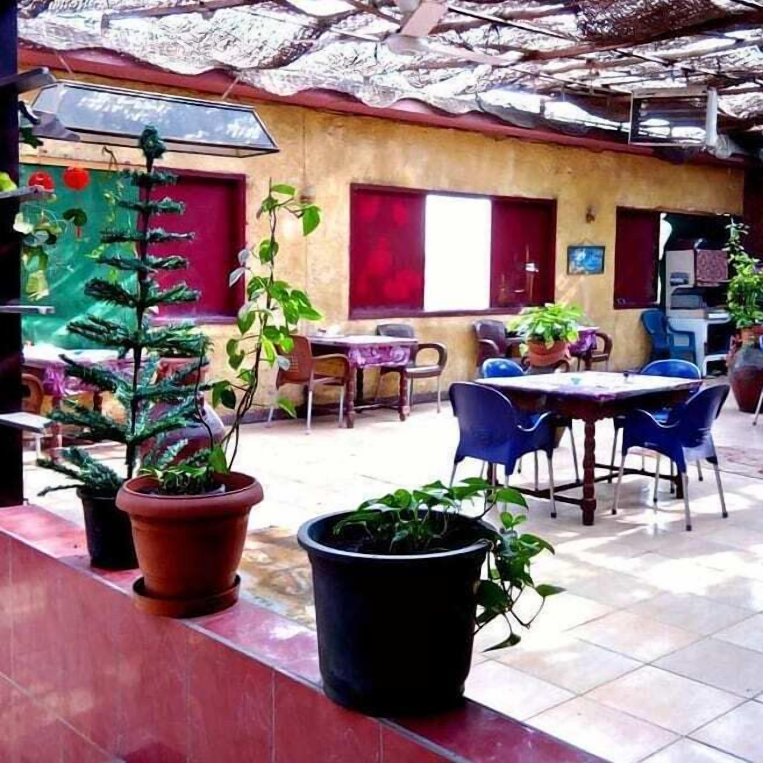 Foto - New Palace Hotel