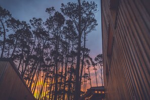 외부 세부 사진