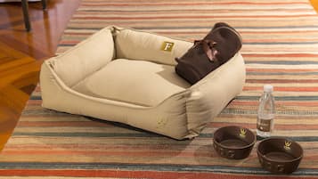 Un panier pour animal de compagnie avec un coussin marron et deux gamelles posées sur un tapis à rayures.