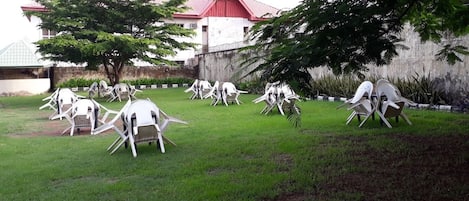 Taman