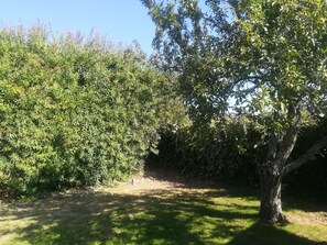 Garden - Vila Sorriso (Monchique)