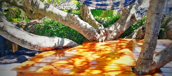 SURFtoLIVE House - Hostel