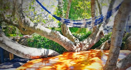 SURFtoLIVE House - Hostel