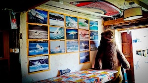 Una habitación con una pared llena de fotografías de olas, un gran oso de peluche y un letrero de café.
