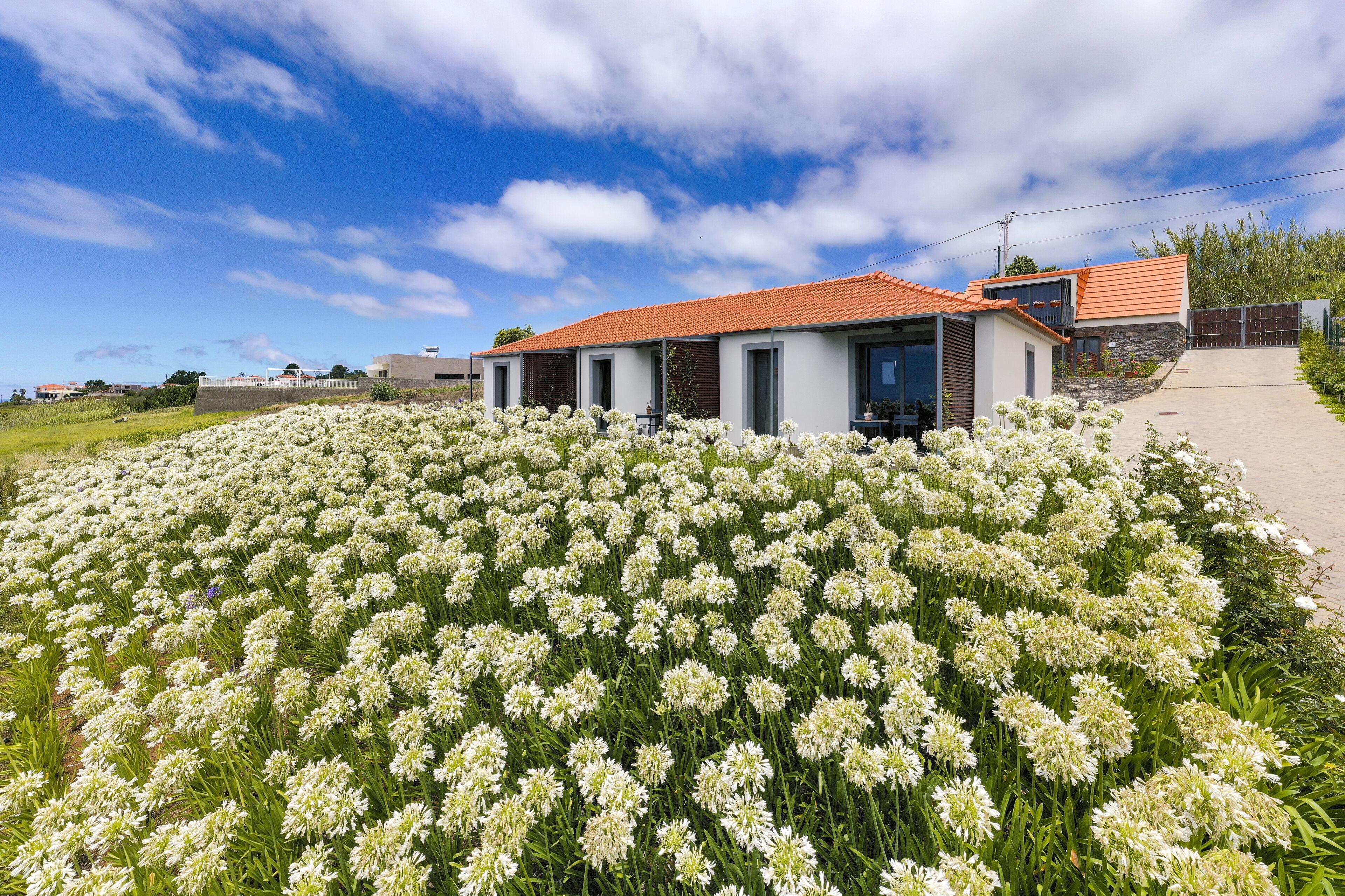 Quang cảnh vườn