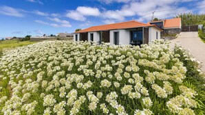 A modern house with a red-tiled roof, surrounded by a field of white flowers. - Quinta Inácia by Our Madeira (Calheta)