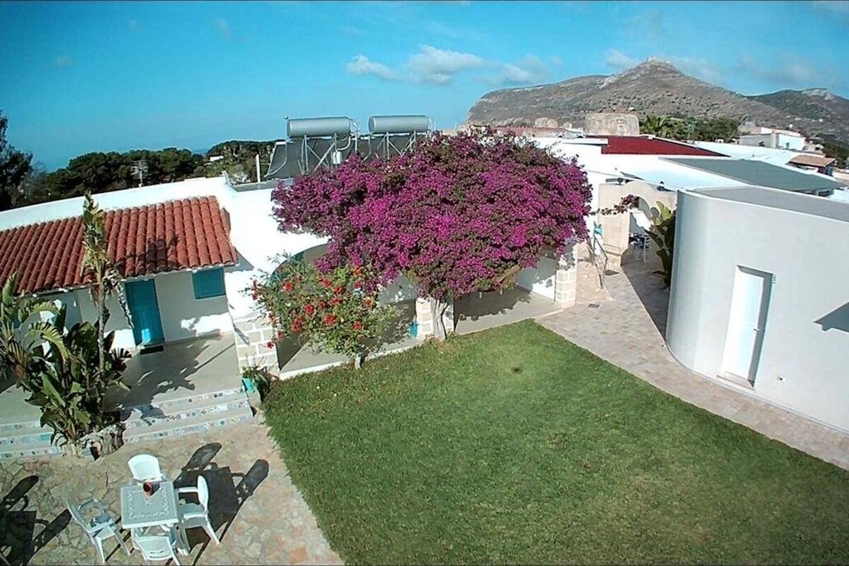 Une cour avec une pelouse, un bâtiment blanc doté d’un toit rouge et un grand arbre aux fleurs violettes.